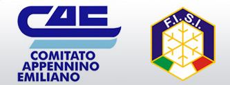 cae