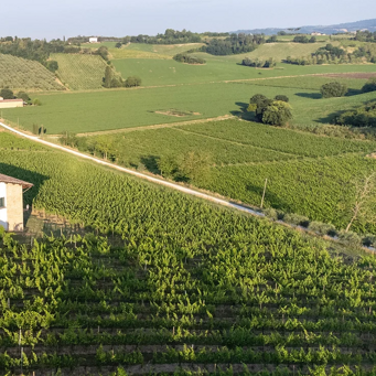 EMILIA ROMAGNA