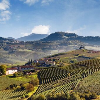 PIEDMONT
