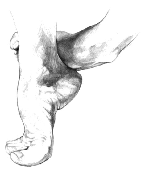 piede_01