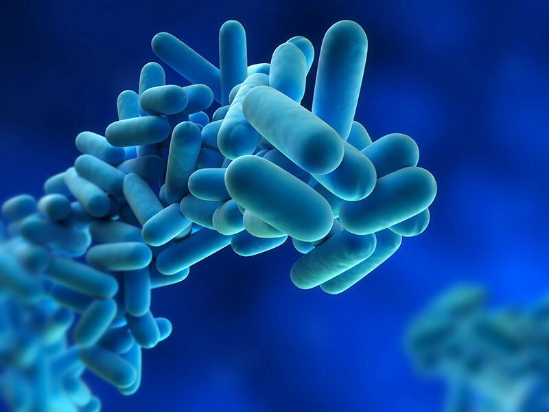 cf5a5769-f4cb-48fa-a0e6-ccfb62608868 cf5a5769-f4cb-48fa-a0e6-ccfb62608868