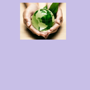 da678e53-4628-4ae6-b5c6-1d2a815e084f