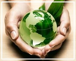 924ea8d1-f73d-4c6d-88c4-b9554d7d4b85 924ea8d1-f73d-4c6d-88c4-b9554d7d4b85