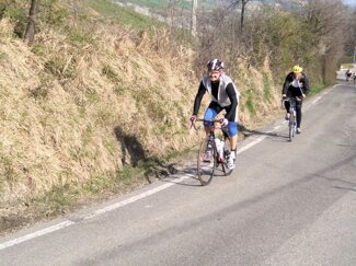 2011 4 nh11.jpeg 2011 4 nh11.jpeg