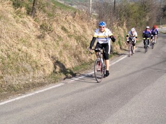 2011 4 nh8.jpeg 2011 4 nh8.jpeg