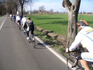 2011 3 nh7.jpeg 2011 3 nh7.jpeg