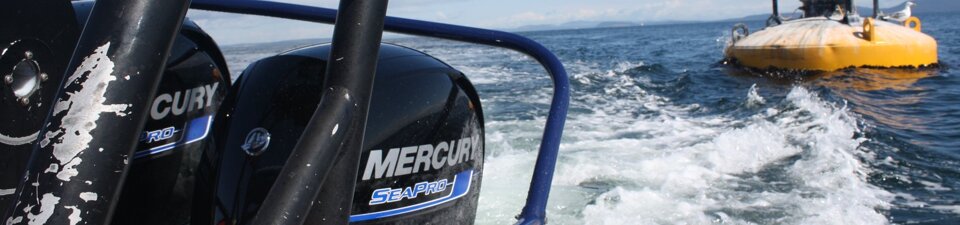 mercury-seapro-fourstroke-cvt-nautica-roma