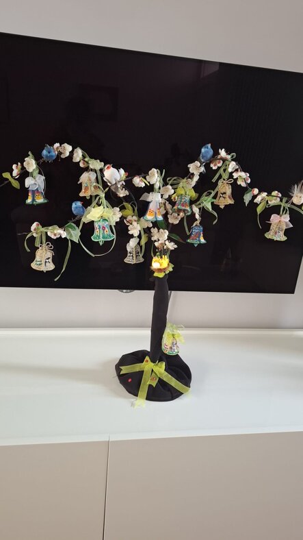 whatsapp image 2026-03-06 at 11.00.59.jpeg