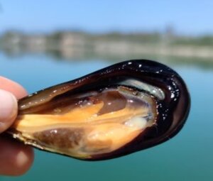 foto7.jpeg foto7.jpeg