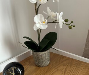 taranto-borgo-antico-ciro-santopietro.jpeg taranto-borgo-antico-ciro-santopietro.jpeg