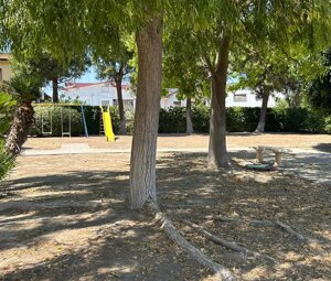 foto5.jpeg foto5.jpeg