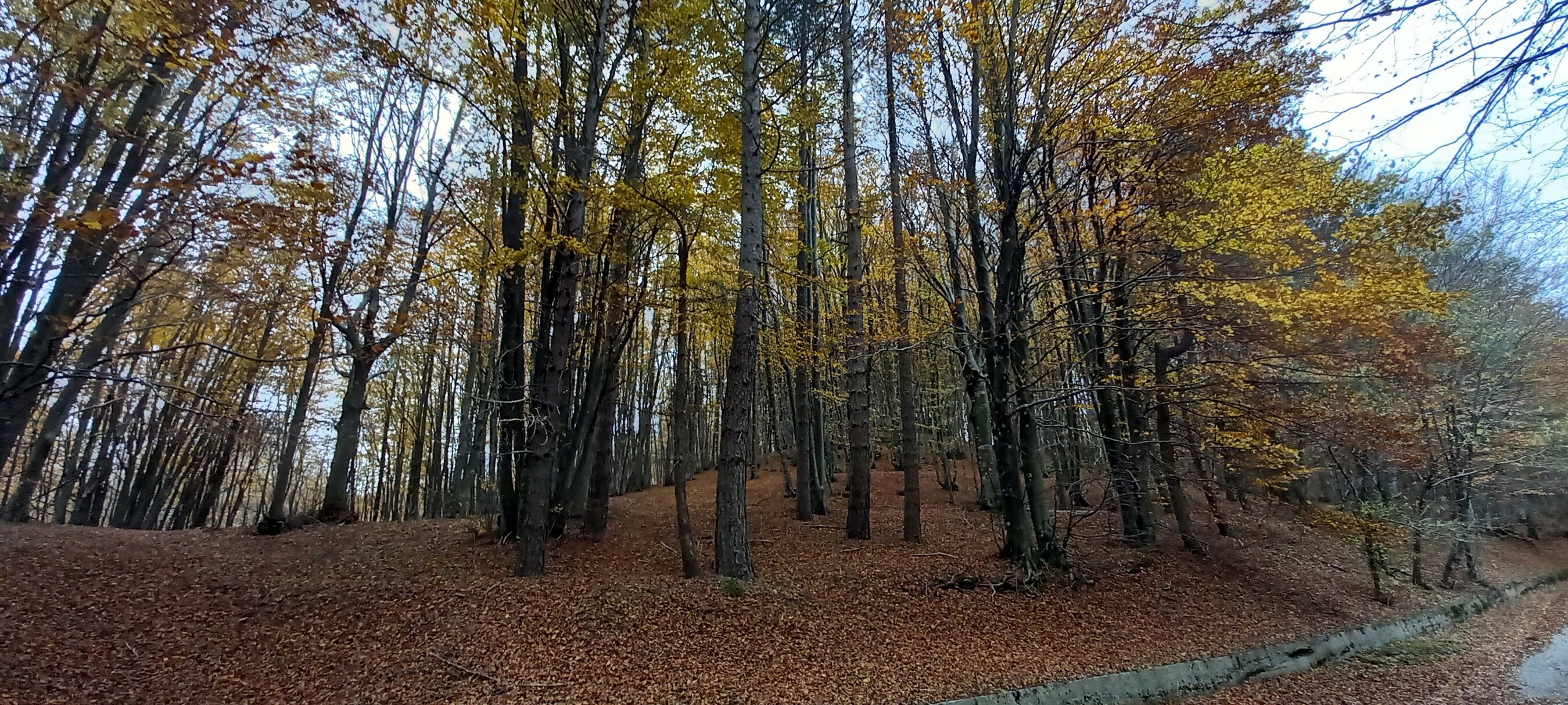 daf43b5b-edc3-44b1-8228-3b194e6babbc