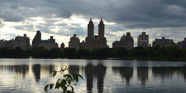 Nuova Amsterdam - Omaggio a Jackie (2017-20)