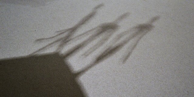 Animulæ vagulæ blandulæ (2017-20)