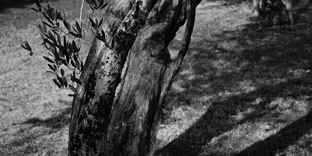 Paolo e Francesca (2015)