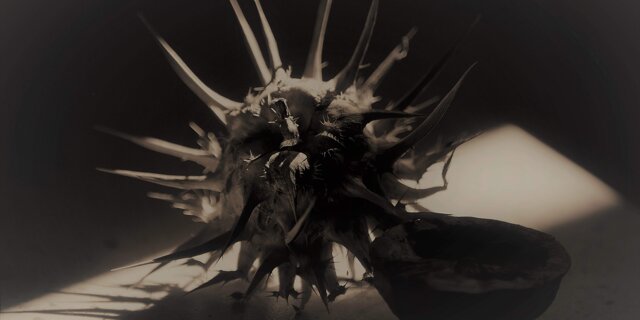 Cerere fossile (2021)