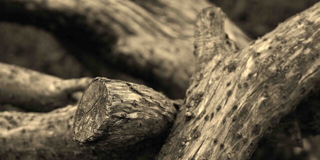 Inferno XIII - Spiriti incarcerati (2015)