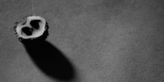 Minerva schiantata (2021)