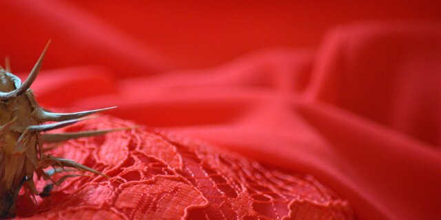 Smiley I - Omaggio a Jacqueline du Pré (2021)