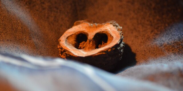 La notte di Minerva (2021)