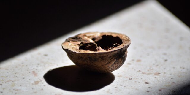 Verso l'ombra (2021)