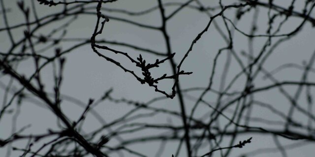 The cruellest month (2013)