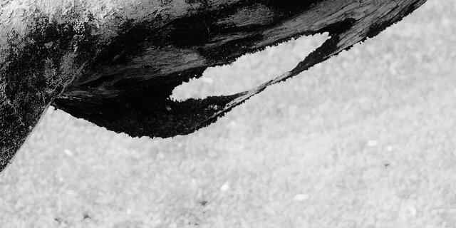 Urlo stracciato (2015)