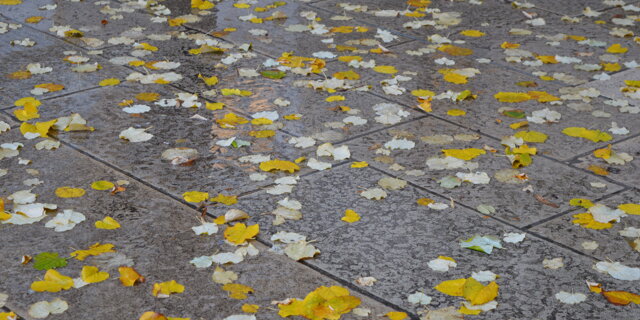 Autunno a Lione I (2016-20)