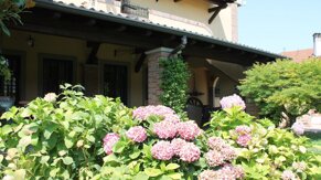 86a1de78-0a69-4de6-abe3-f969f885fbc6