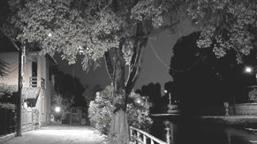 302118fb-4c08-4b03-8b72-acbf23f34caa