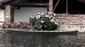 6ad27252-9bb3-4db8-9ab6-e1550af614c3