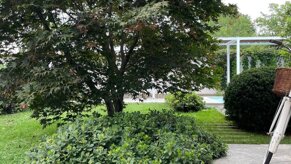 3870e158-7fe0-45ef-a398-a21a133a8936