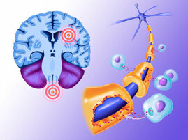 181457480-87945488-9cee-4ddb-b03b-bff2ddc68ef7 181457480-87945488-9cee-4ddb-b03b-bff2ddc68ef7