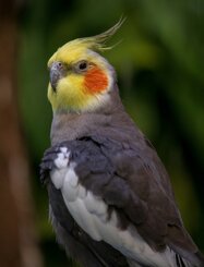 64861cbf-effe-43b1-9484-132ae955deec