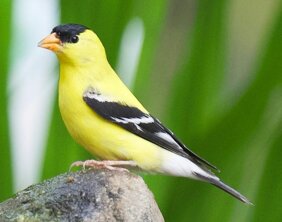 b977d9f2-4314-4f13-ac17-d89432e673e2 b977d9f2-4314-4f13-ac17-d89432e673e2