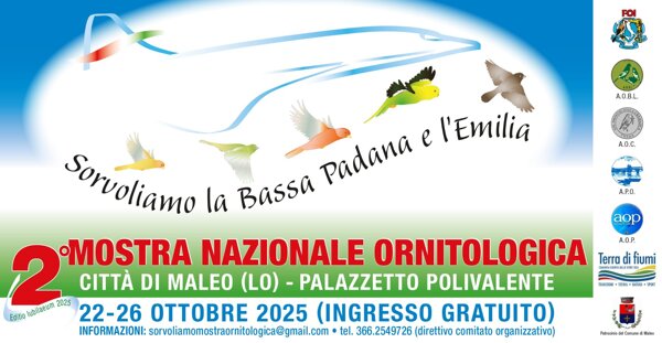 40bc8f49-c40f-4784-b08f-63b4524afb40 40bc8f49-c40f-4784-b08f-63b4524afb40