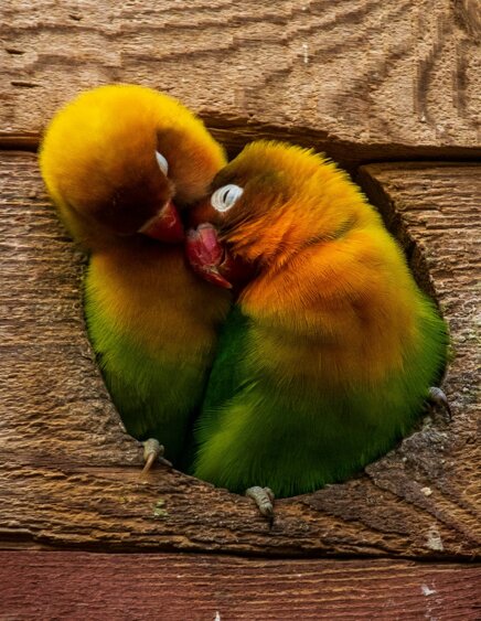 f4f352ad-8ff6-4c99-945d-d8320e664887