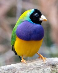 546ebf4d-39de-475d-8297-970536b76825