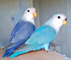 76c5f2c8-96e9-48bf-b771-e7d5aec65244 76c5f2c8-96e9-48bf-b771-e7d5aec65244