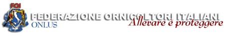 banner_foi