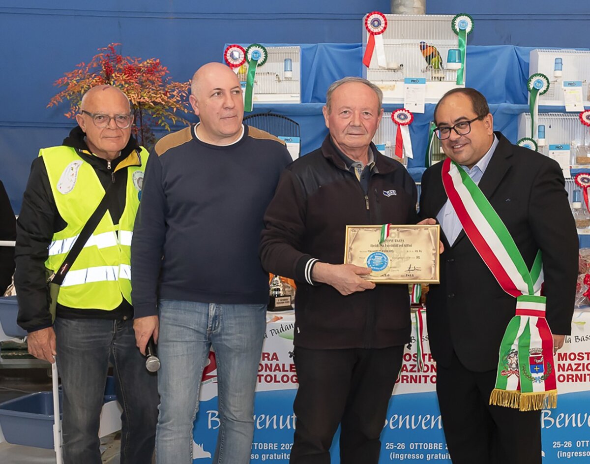 Roberto Mainardi - Campione Razza Estrildidi