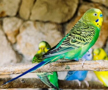 1aa3974a-a4de-463c-ab6d-bb6cea827e6b