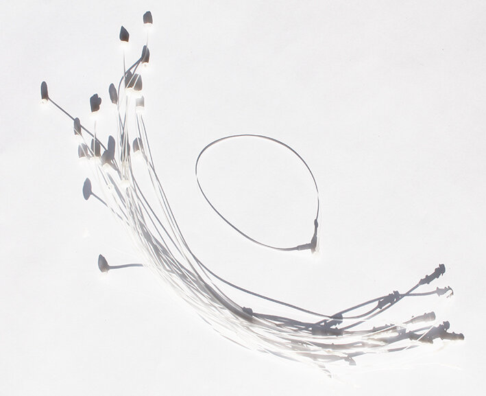 0a8b2c8a-9336-4ee5-8f50-8d83e083182a