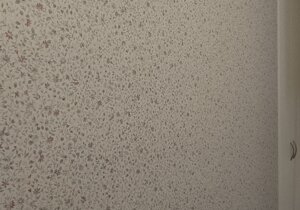 img_20231209_164851.jpeg