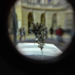 ARGENTO NATIVO Argento nativo