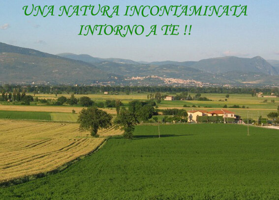 2eb59870-56f1-463c-8a6b-628f9a473f4c