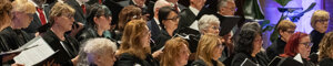 13042025-_dsc0823-migliorato-nr.jpeg