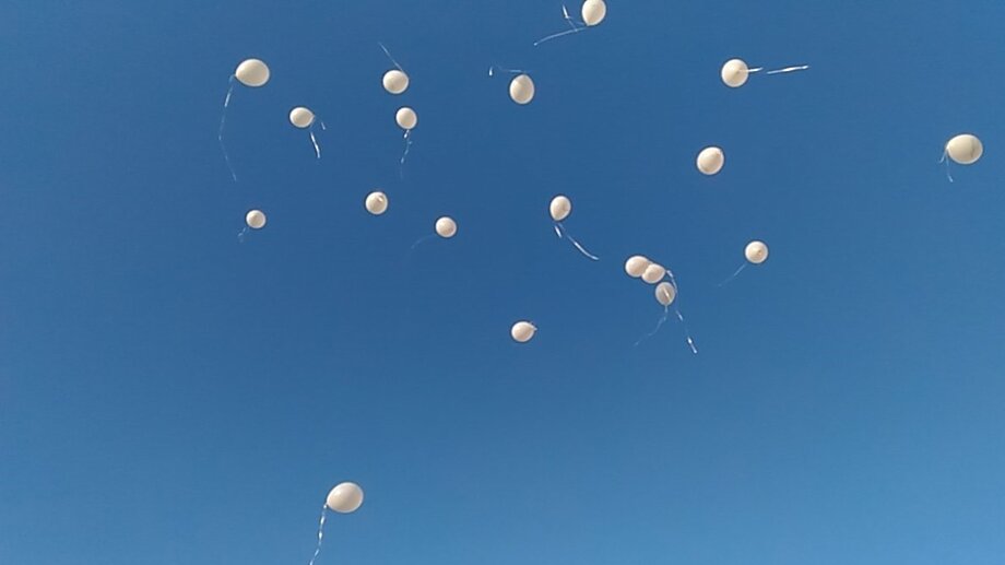 95e2ee2d-c564-41ff-8aec-6e9a775a9e2d