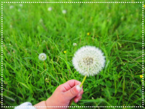 3ed4d5945f9448d2965e0c8d5223ef26