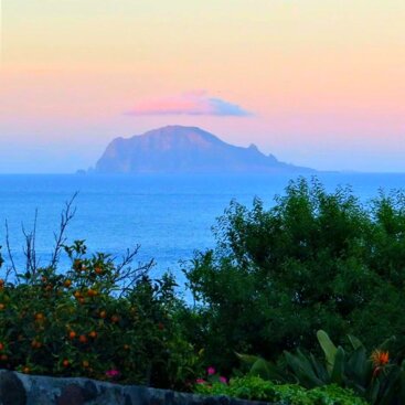 21f20869-bf15-4fdd-bbff-c6c2bc04bfe0